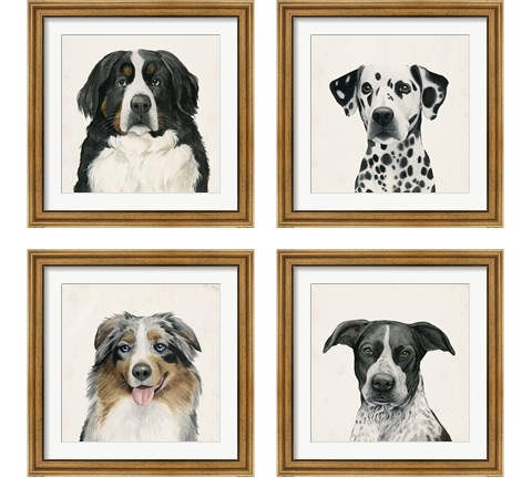 Best Bud 4 Piece Framed Art Print Set by Grace Popp