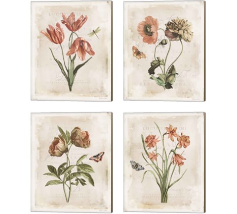 Antiquarian Blooms 4 Piece Canvas Print Set by Katie Pertiet