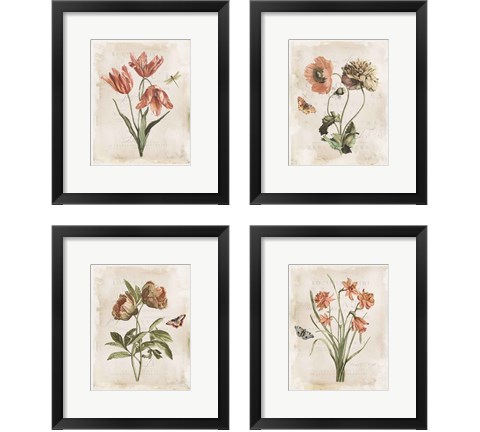 Antiquarian Blooms 4 Piece Framed Art Print Set by Katie Pertiet