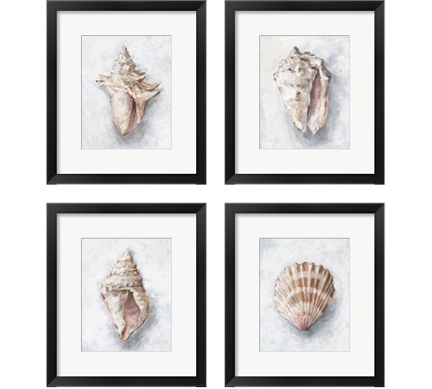 White Shell Study 4 Piece Framed Art Print Set by Ethan Harper