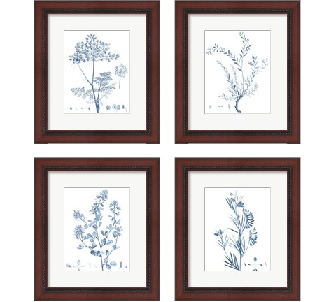 Antique Botanical in Blue 4 Piece Framed Art Print Set by Vision Studio