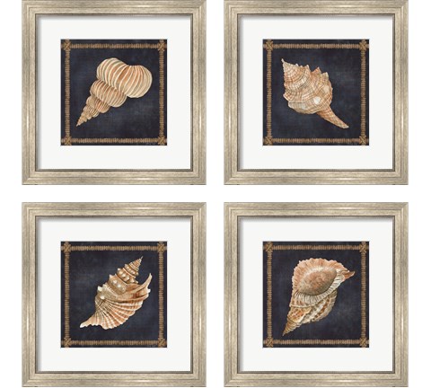 Seashell on Navy 4 Piece Framed Art Print Set by Cindy Jacobs