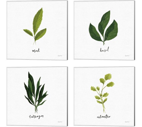 Herbs 4 Piece Canvas Print Set by Becky Thorns