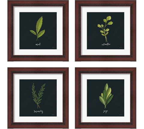 Herbs 4 Piece Framed Art Print Set by Becky Thorns