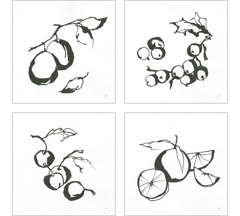 Black & White Fruit 4 Piece Art Print Set by Chris Paschke