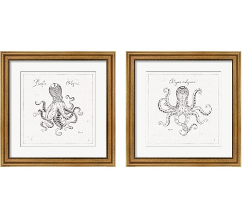 Underwater Life 2 Piece Framed Art Print Set by Daphne Brissonnet