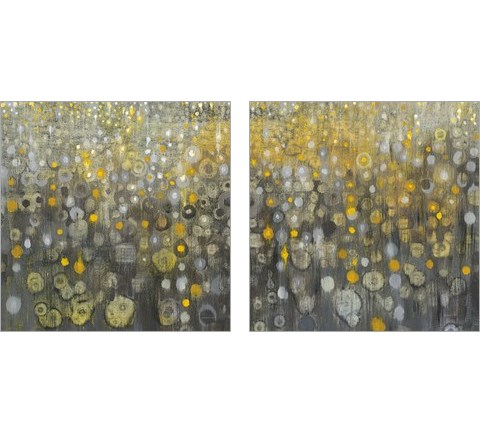 Rain Abstract 2 Piece Art Print Set by Danhui Nai