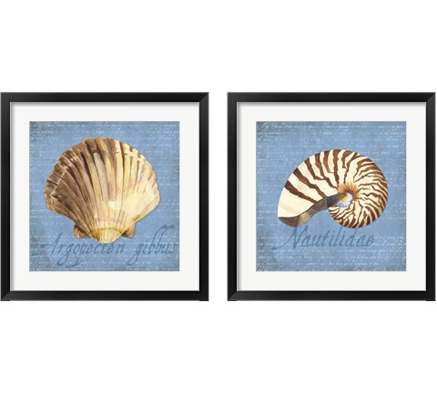 Oceanum Shells Blue 2 Piece Framed Art Print Set by Tara Reed