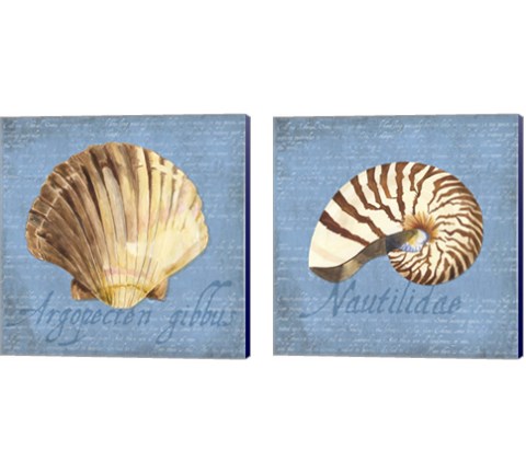 Oceanum Shells Blue 2 Piece Canvas Print Set by Tara Reed