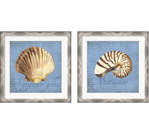 Oceanum Shells Blue 2 Piece Framed Art Print Set by Tara Reed