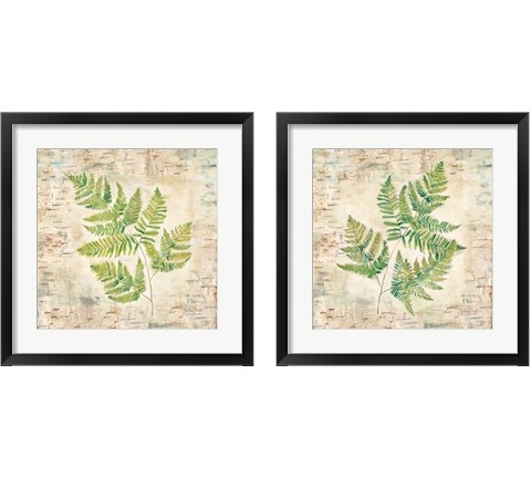 Birch Bark Ferns 2 Piece Framed Art Print Set by Cynthia Coulter