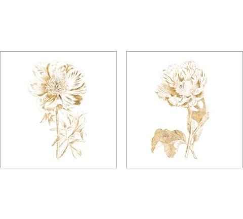 Gilded Botanical 2 Piece Art Print Set by Wild Apple Portfolio