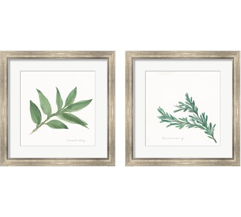 Herbs 2 Piece Framed Art Print Set by Chris Paschke