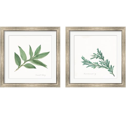 Herbs 2 Piece Framed Art Print Set by Chris Paschke