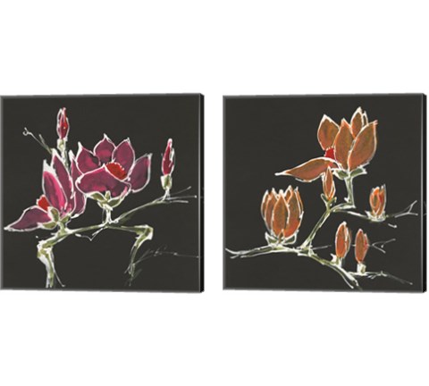 Magnolia on Black 2 Piece Canvas Print Set by Chris Paschke