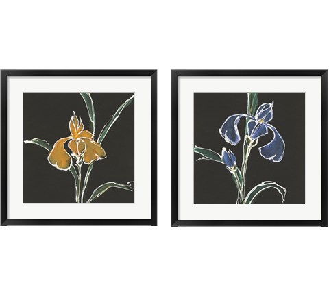 Iris on Black 2 Piece Framed Art Print Set by Chris Paschke