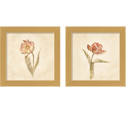 Tulip on White 2 Piece Framed Art Print Set by Cheri Blum