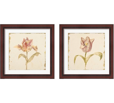 Vintage Tulip 2 Piece Framed Art Print Set by Cheri Blum