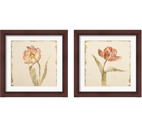 Vintage Tulip 2 Piece Framed Art Print Set by Cheri Blum