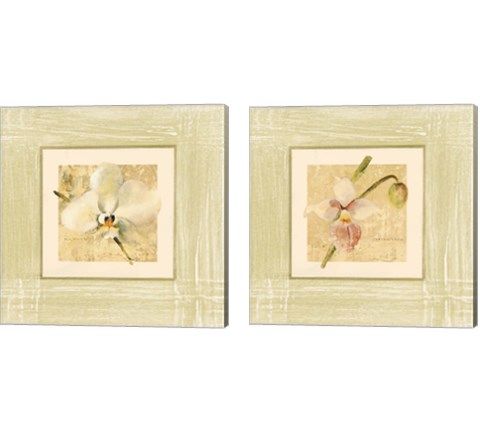 Exotic Floral 2 Piece Canvas Print Set by Cheri Blum