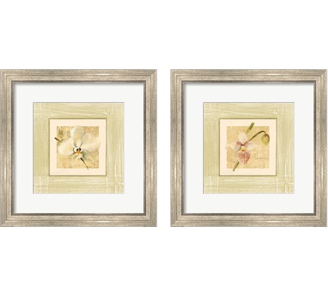 Exotic Floral 2 Piece Framed Art Print Set by Cheri Blum