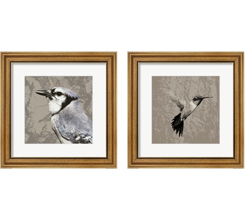 Feathered  2 Piece Framed Art Print Set by Posters International Studio