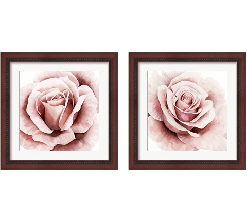 Pink Rose 2 Piece Framed Art Print Set by Grace Popp