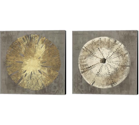 Sand Dollar 2 Piece Canvas Print Set by Aimee Wilson