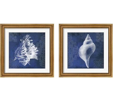 Navy Shell 2 Piece Framed Art Print Set by Posters International Studio