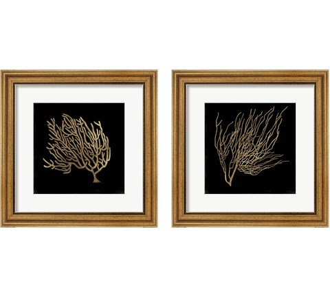 Gold Coral 2 Piece Framed Art Print Set by Aimee Wilson