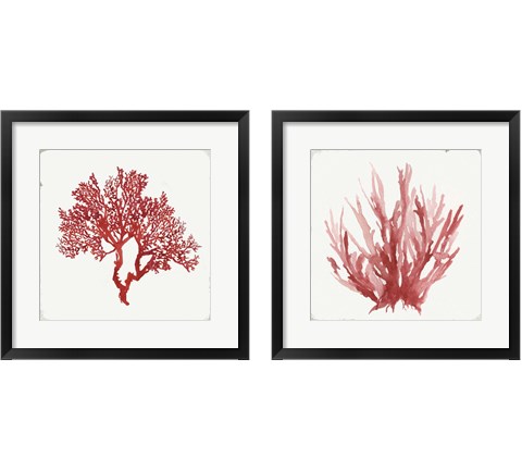 Red Coral 2 Piece Framed Art Print Set by Aimee Wilson
