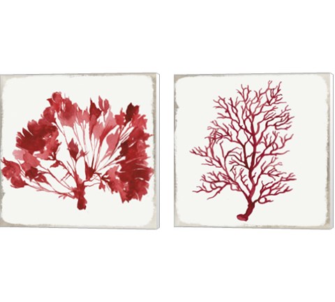 Red Coral 2 Piece Canvas Print Set by Aimee Wilson