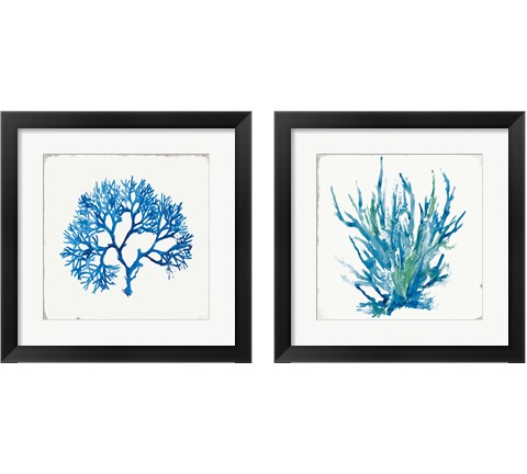 Blue Coral 2 Piece Framed Art Print Set by Aimee Wilson