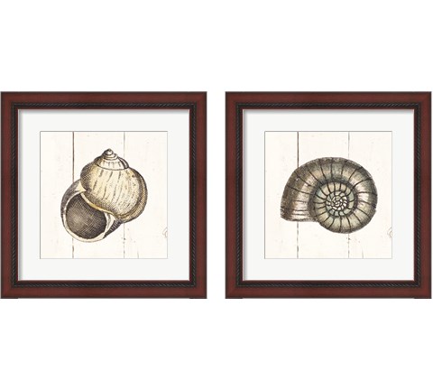 Shell Sketches Shiplap 2 Piece Framed Art Print Set by Wild Apple Portfolio