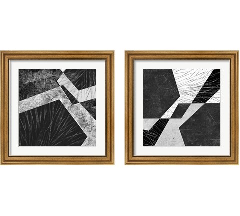 Orchestrated Geometry 2 Piece Framed Art Print Set by Sharon Chandler