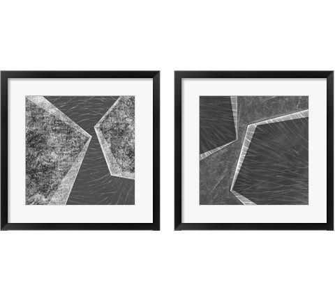 Orchestrated Geometry 2 Piece Framed Art Print Set by Sharon Chandler