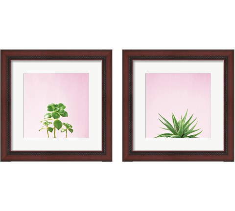 Succulent Simplicity on Pink 2 Piece Framed Art Print Set by Felicity Bradley