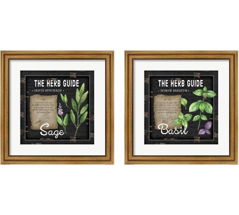 Herb Guide 2 Piece Framed Art Print Set by Jennifer Pugh