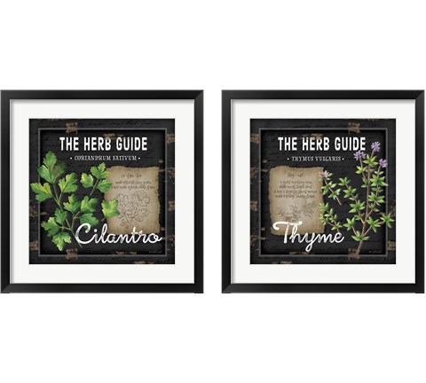 Herb Guide 2 Piece Framed Art Print Set by Jennifer Pugh