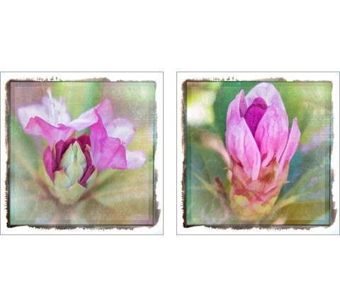 Spring Bud 2 Piece Art Print Set by Ramona Murdock