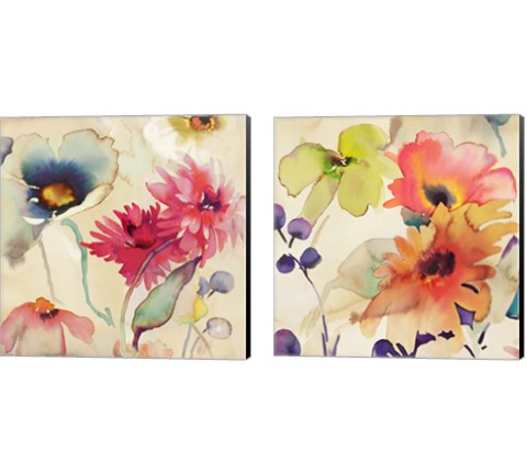 Floral Fireworks 2 Piece Canvas Print Set by Kelly Parr