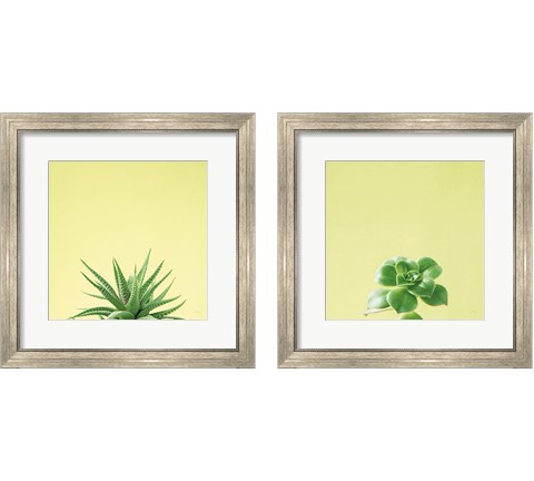 Succulent Simplicity 2 Piece Framed Art Print Set by Felicity Bradley