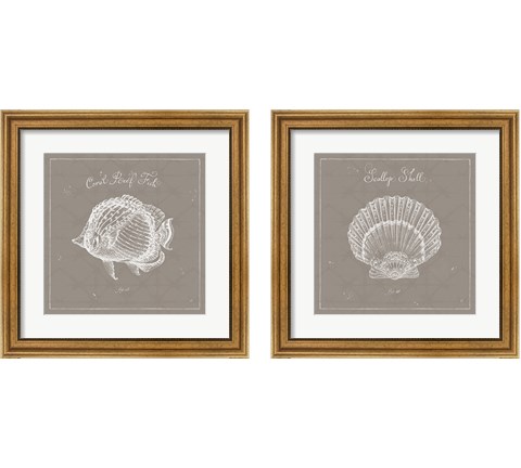 Underwater Life Greige 2 Piece Framed Art Print Set by Daphne Brissonnet