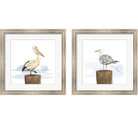 Birds of the Coast 2 Piece Framed Art Print Set by Tara Reed