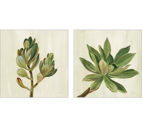 Front Yard Succulent 2 Piece Art Print Set by Silvia Vassileva