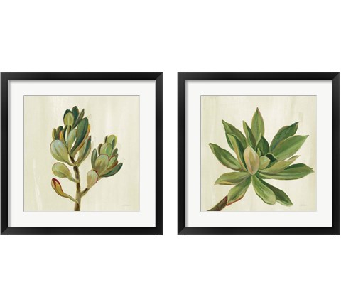 Front Yard Succulent 2 Piece Framed Art Print Set by Silvia Vassileva