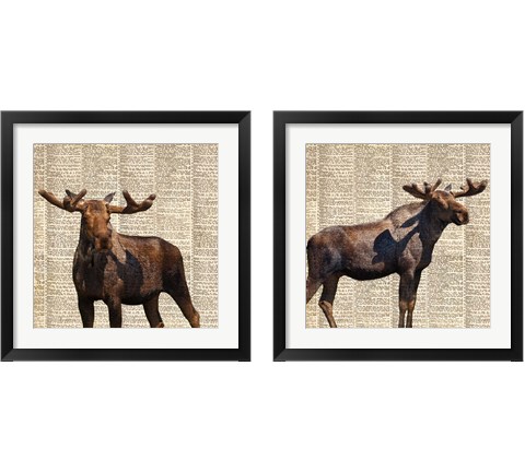 Country Moose 2 Piece Framed Art Print Set by Anna Coppel