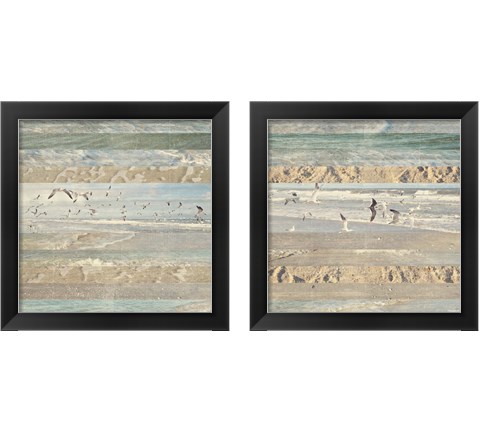 Flying Beach Birds 2 Piece Framed Art Print Set by Dan Meneely