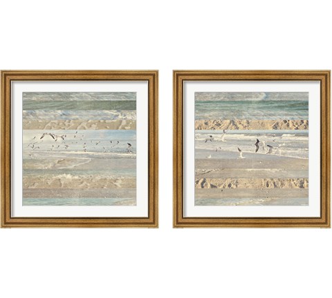 Flying Beach Birds 2 Piece Framed Art Print Set by Dan Meneely