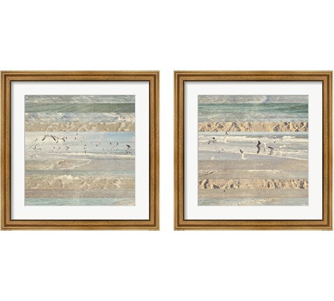 Flying Beach Birds 2 Piece Framed Art Print Set by Dan Meneely